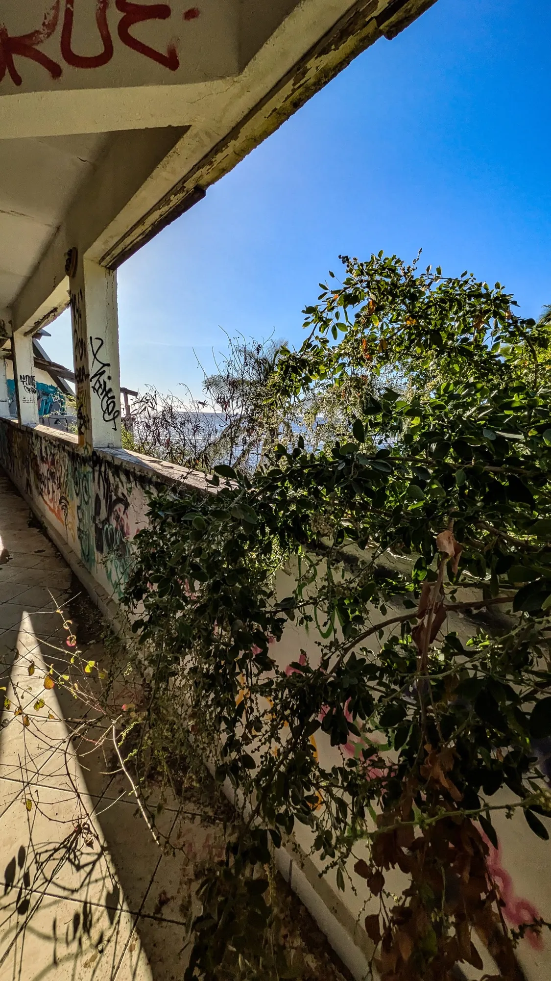 Graffitis dans un hôtel abandonné à La Réunion, photo 11